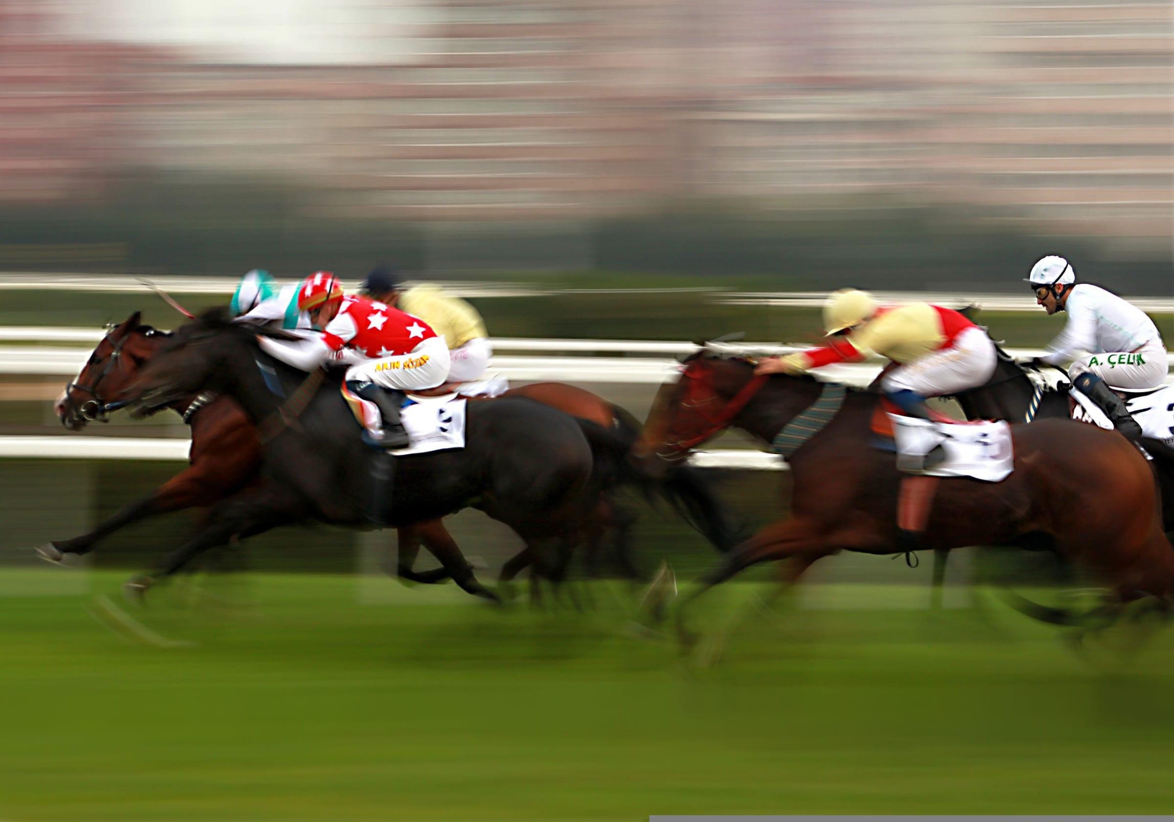 Jockeys racing thoroughbred horses at speed