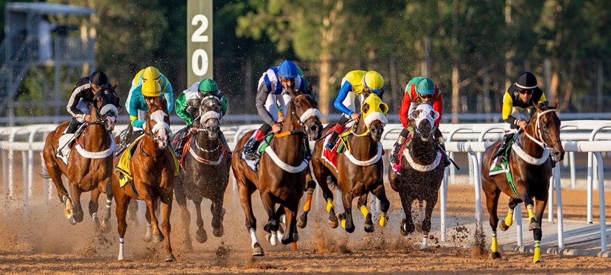 Horse racing at full gallop